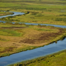 Wildman Fishing Tours - Mary River Arial