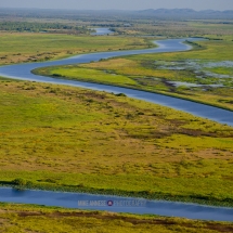 Wildman Fishing Tours - Mary River